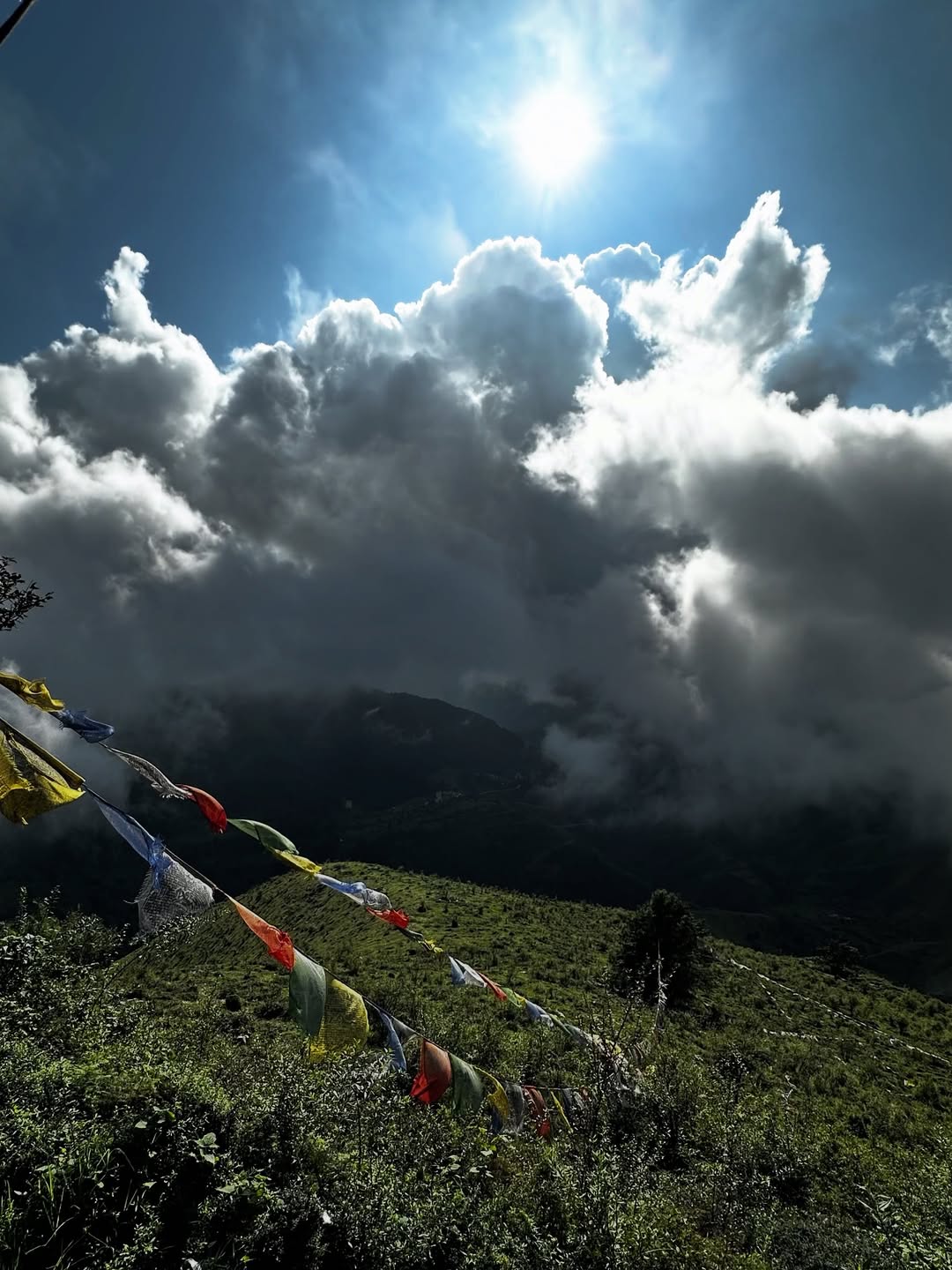 chakrata tour package